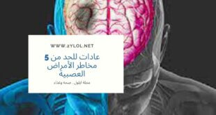 شات ايلزل,موقع ايلول, ايلول جروب