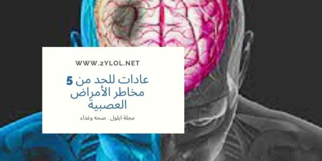 شات ايلزل,موقع ايلول, ايلول جروب
