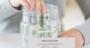 خمسة طرق للحفاظ علي النقود في البيت